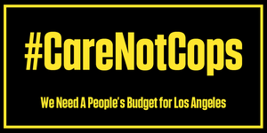 Defund The Police: People's Budget LA