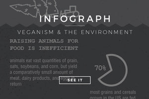 Veganism & The Environment