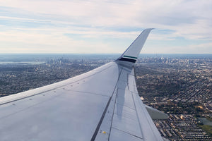 Vegan Options At JFK International Airport