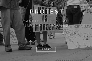March to close all slaughterhouses - LA