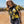 Load image into Gallery viewer, BxB Skull Logo Crop Tee