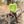 Load image into Gallery viewer, BxB Wordmark Unisex Tee