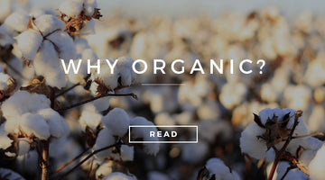 Why organic